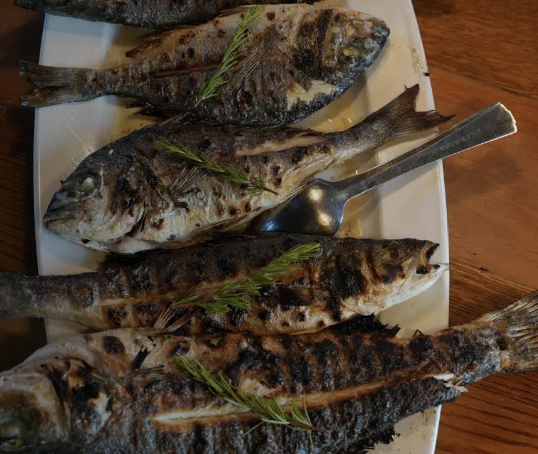 Entdecken Sie Kroatien auf einer Segelreise von Trogir