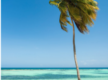 Explora Martinica y Bonaire en un viaje de barco
