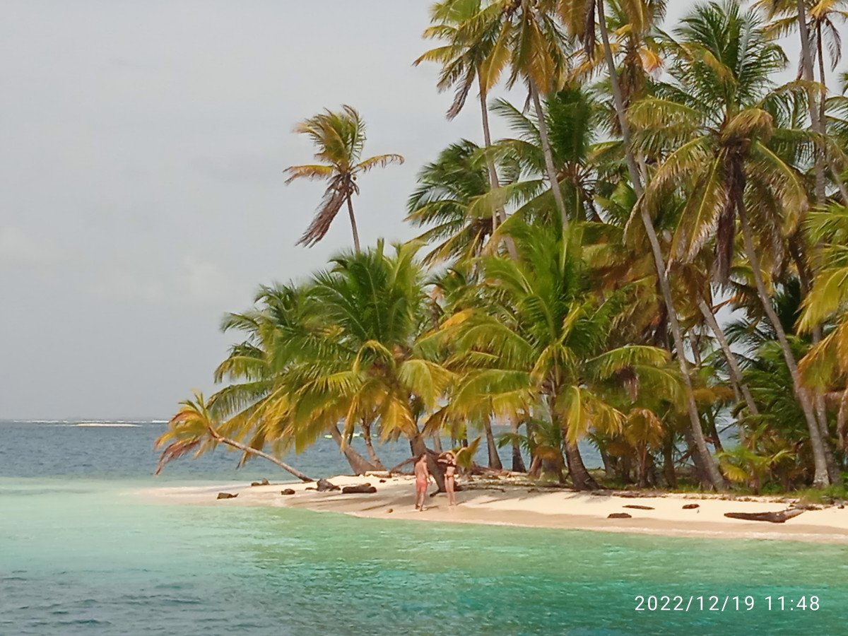 Goditi la bellezza naturale di San Blas