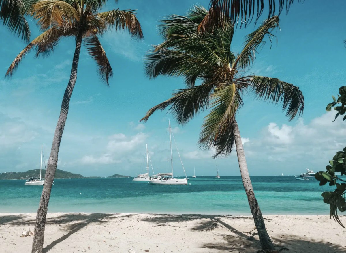 Segeln Sie in der ruhigen Bucht von Martinique