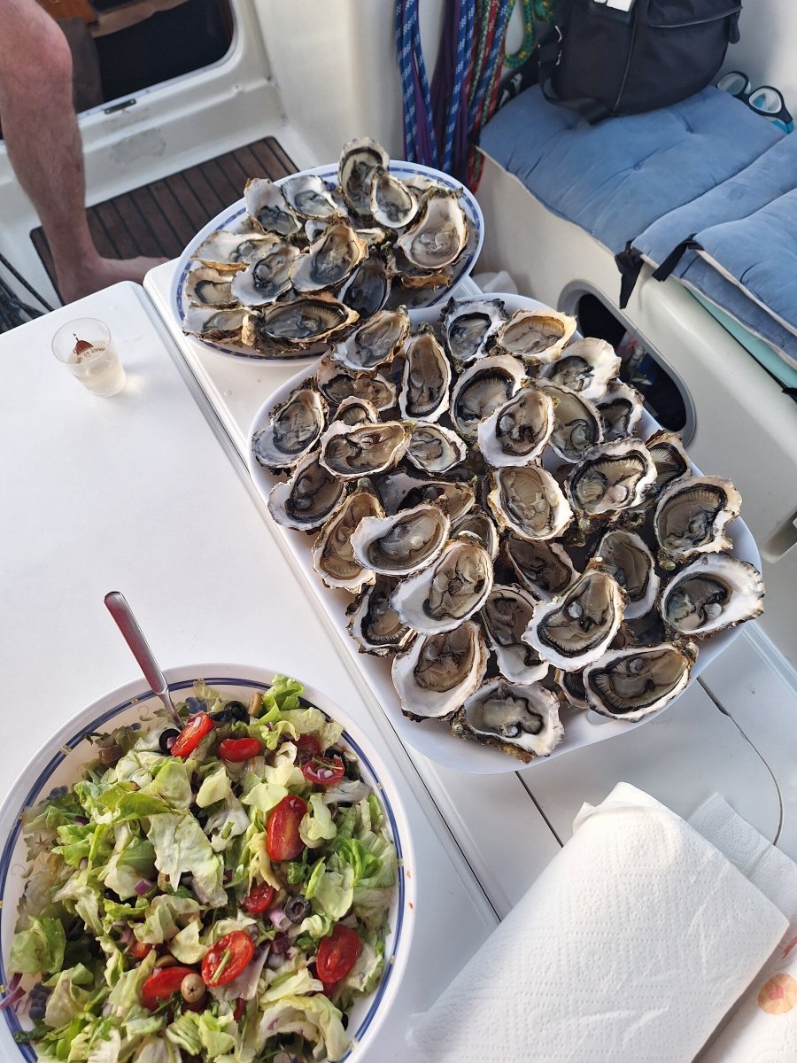 Travesía en velero desde Barcelona al sur de Francia