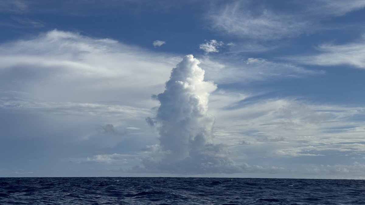 Entdecken Sie die Ostsee: Eine kurze Reise und Abenteuer auf See