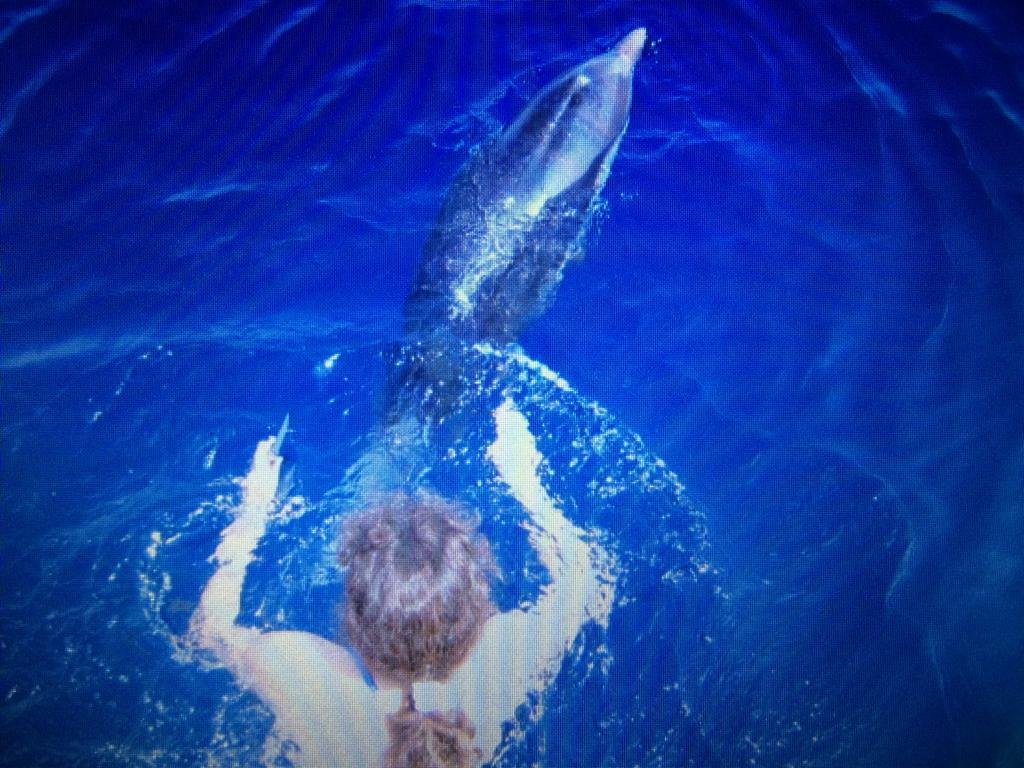 Crucero didáctico desde Pontine a Flegree: un viaje educativo y emocionante