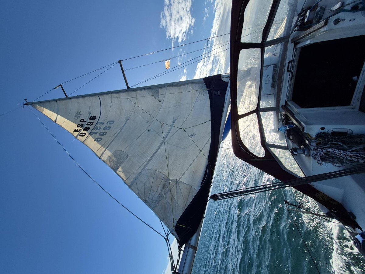 Segelschule in Valencia