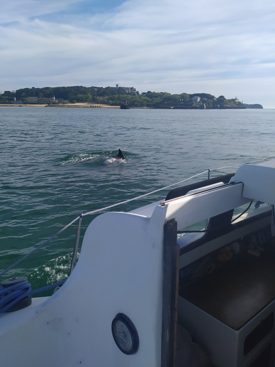 Paseo en barco por la costa de Santander