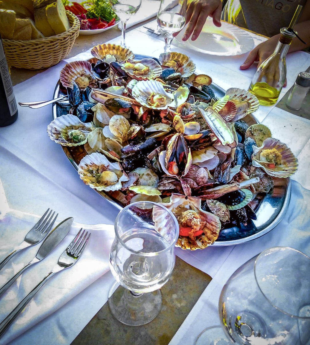 Sailing course and Croatian landscapes