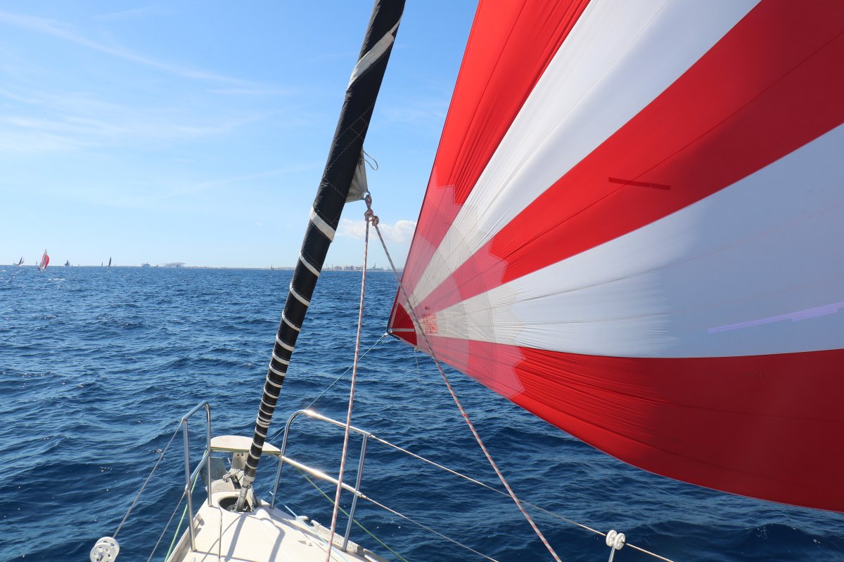 Explore Columbretes Islands on a cruise from Barcelona