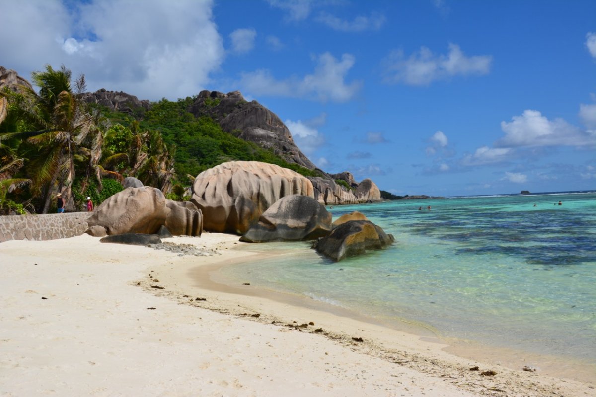 Corso di Vela - Padroneggia l'Arte della Navigazione