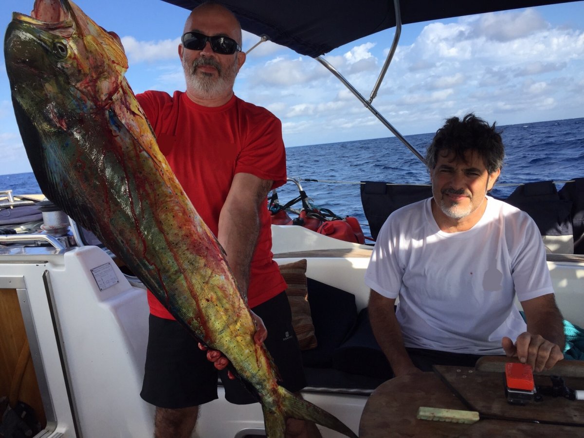 65549d3d9d3915.64948363