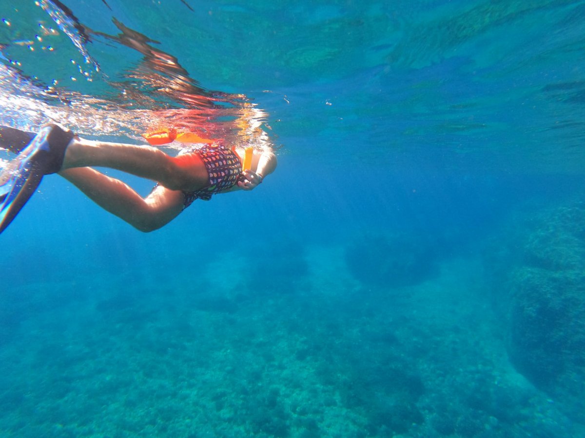 Vela a Valencia: noleggio di lussuose barche a vela con istruzioni di navigazione