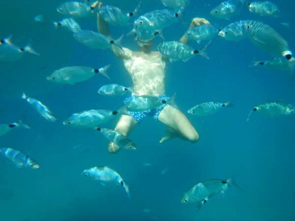 Viaje en barco por la Costa Turquesa: paisajes marinos y costeros