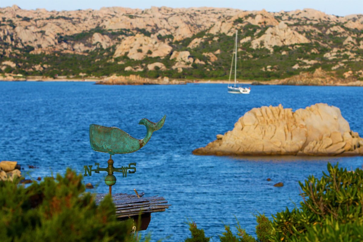 Entdecken Sie die Schönheit Sardiniens mit einer Segelkreuzfahrt