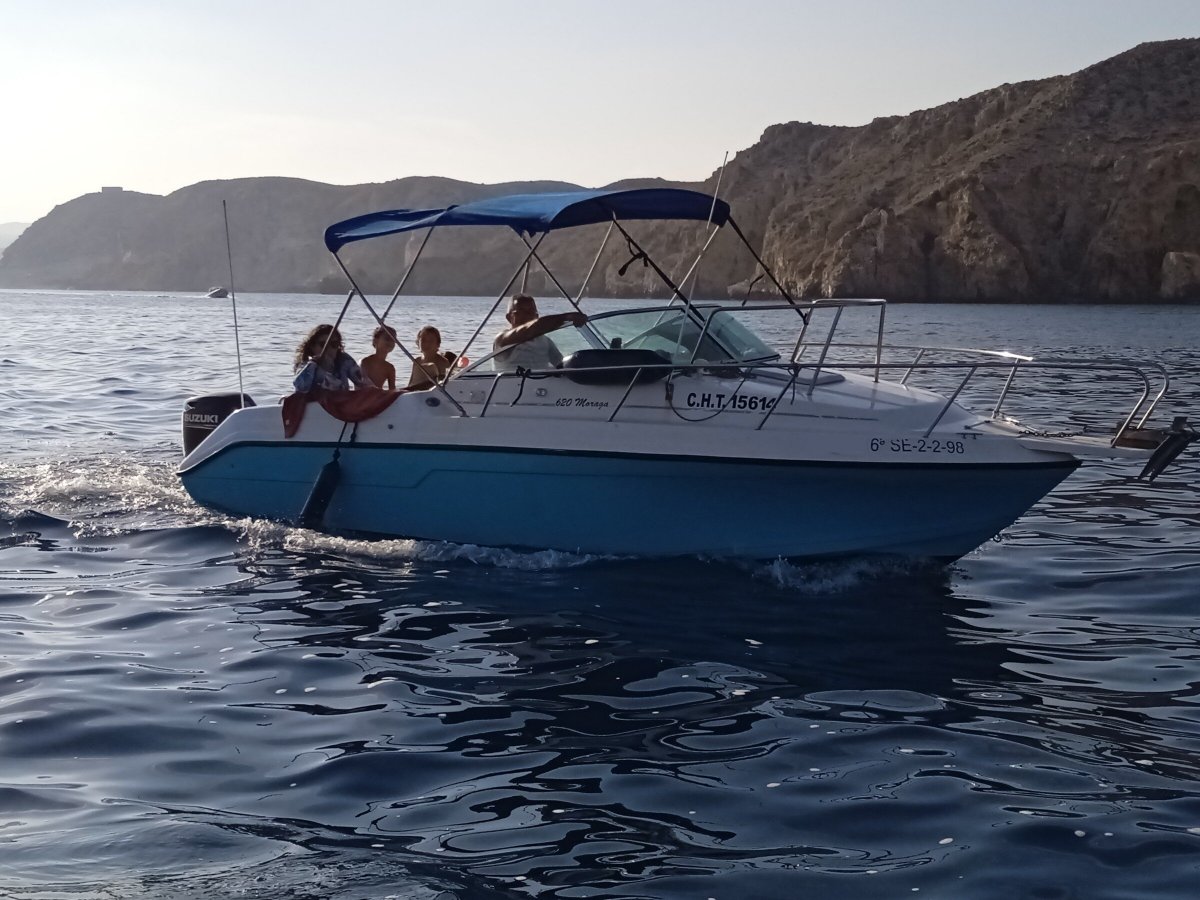 669d39ec2c7ed7.77414660