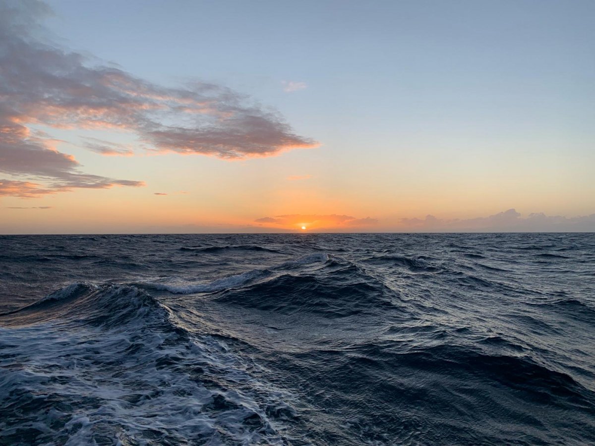 Enjoy the beauty of the sea on a coastal cruise