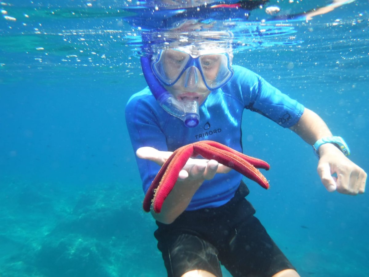 Crucero didáctico desde Pontine a Flegree: un viaje educativo y emocionante