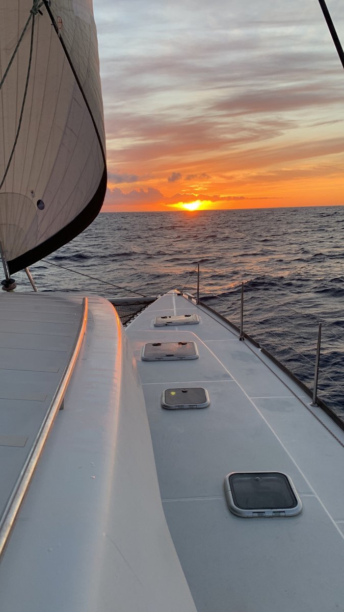 Esplora il mare in un emozionante giro in barca