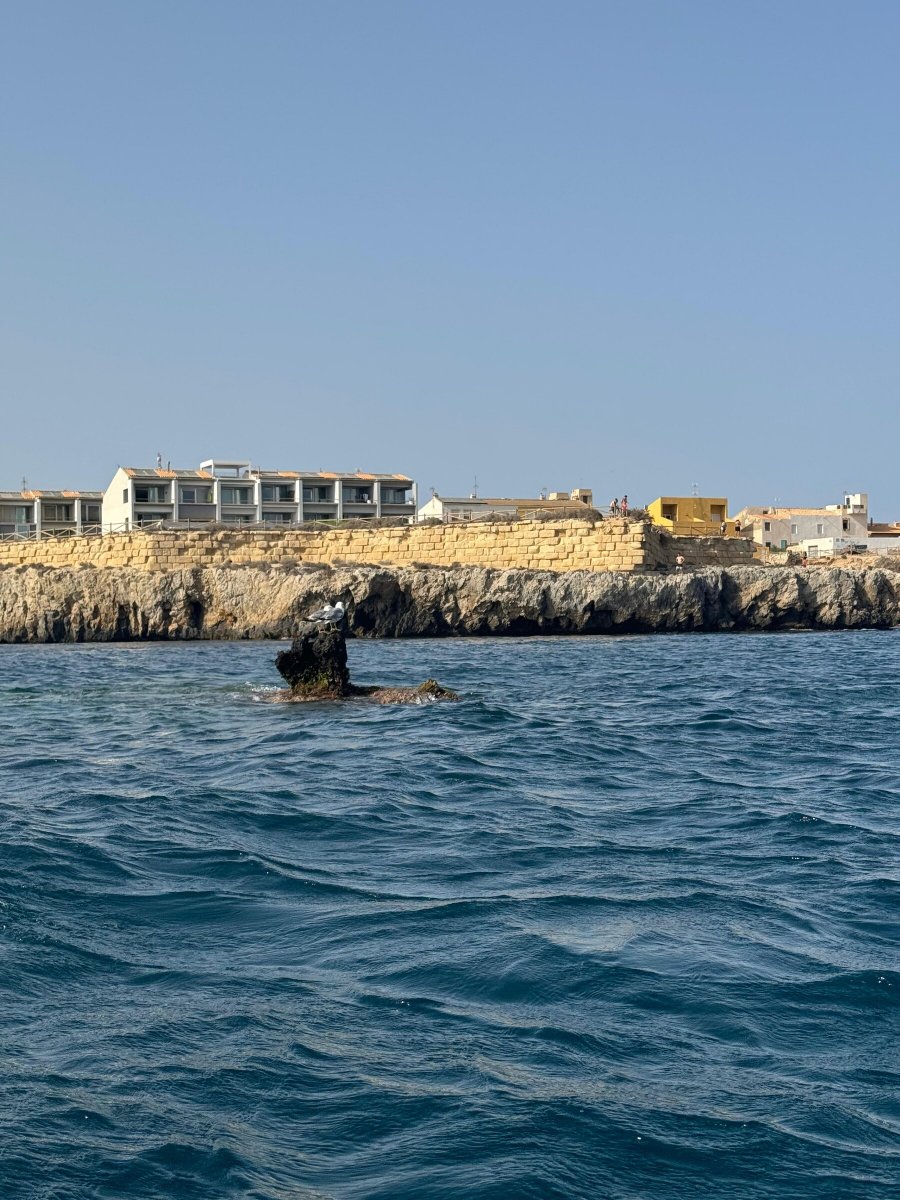 Barca a vela a Santa Pola, diretta a Tabarca