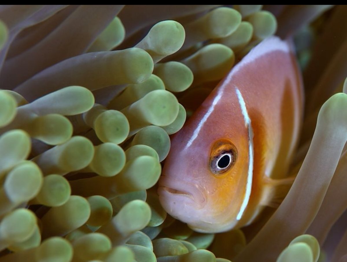 Entdecken Sie Kolumbien und Panama mit einem Katamaran-Segeltörn