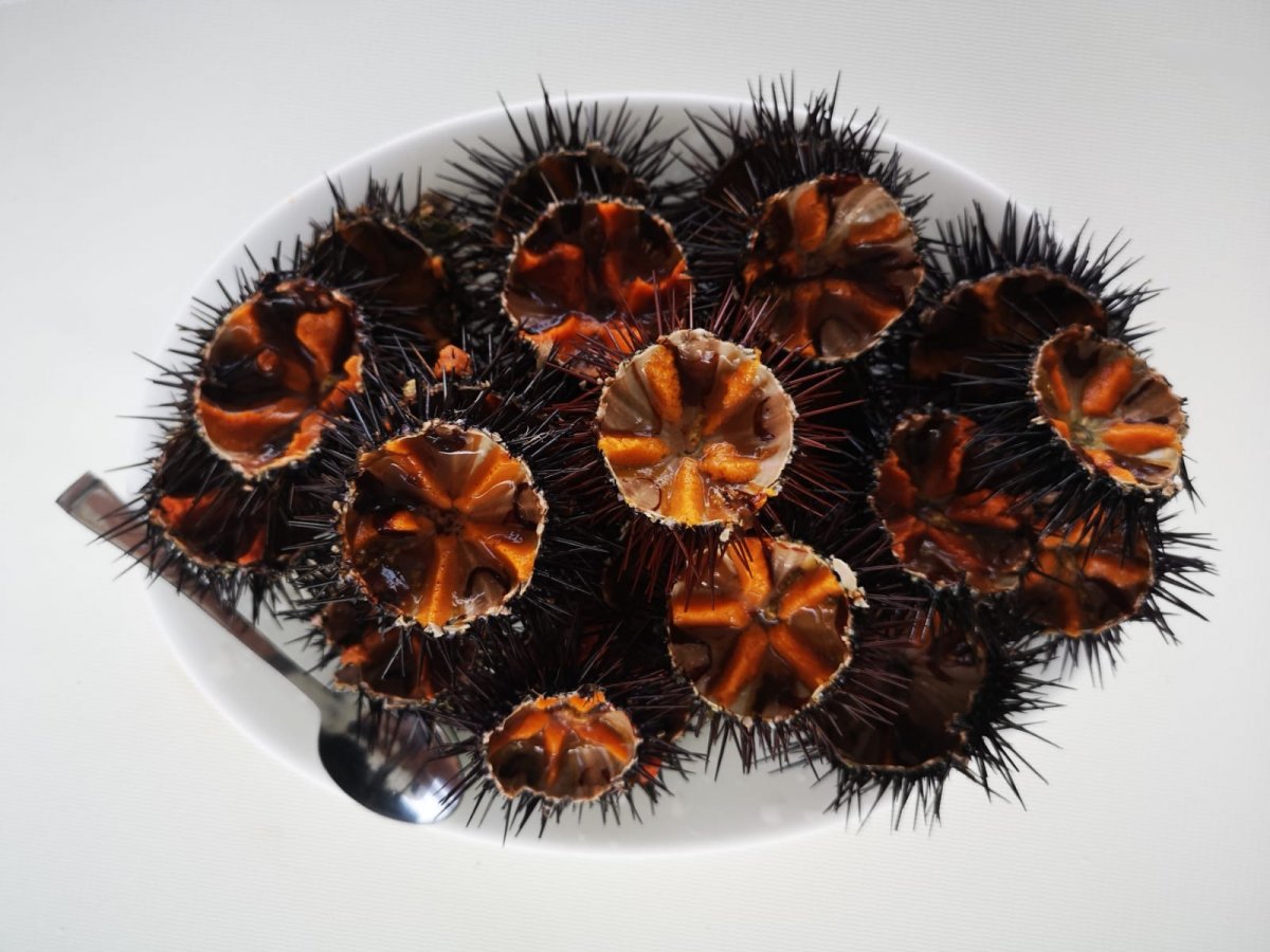 Sailing in the Greek sun