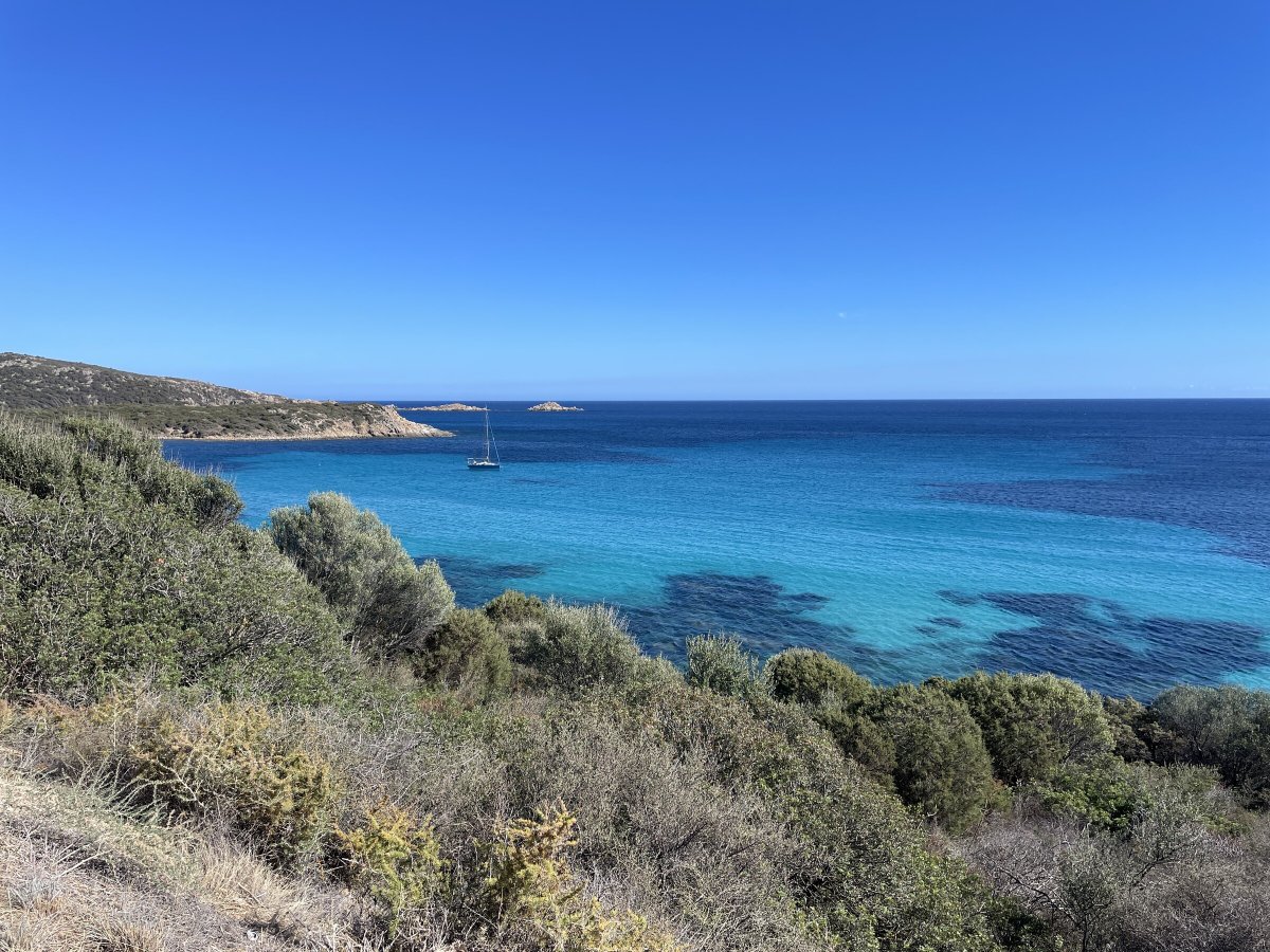 Mestiere le abilità di navigazione