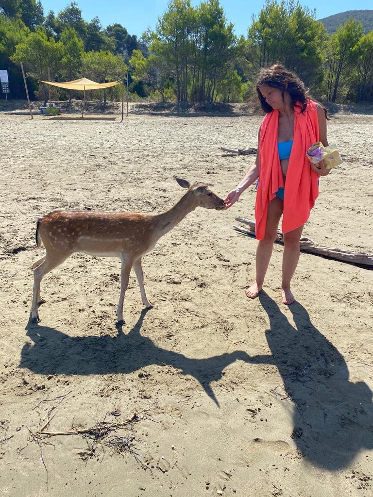 Goditi la bellezza naturale della Sardegna dal mare.