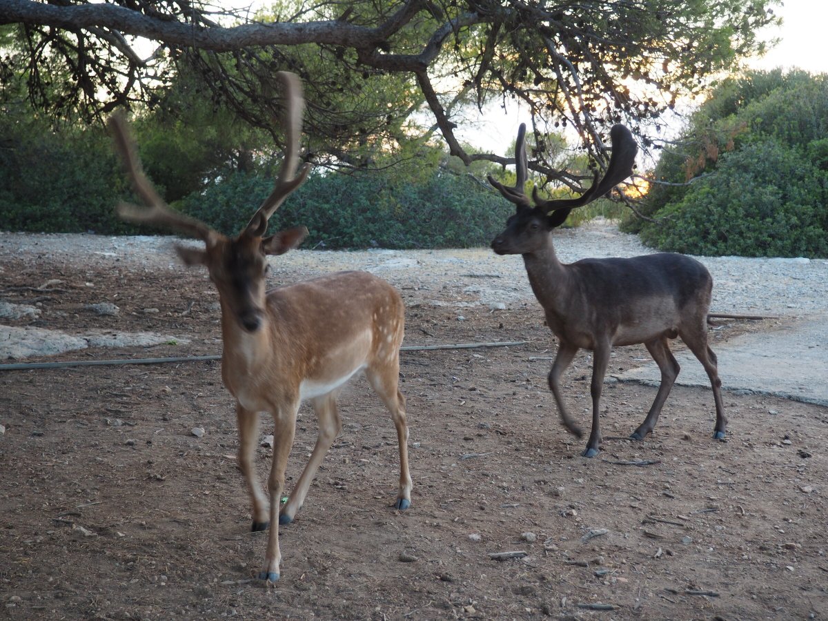 Descubrir las maravillas de la costa mediterránea