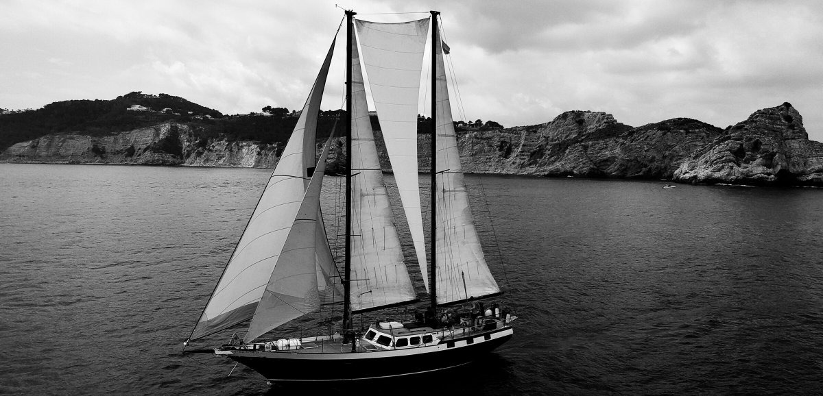 Belliure - Goleta 50