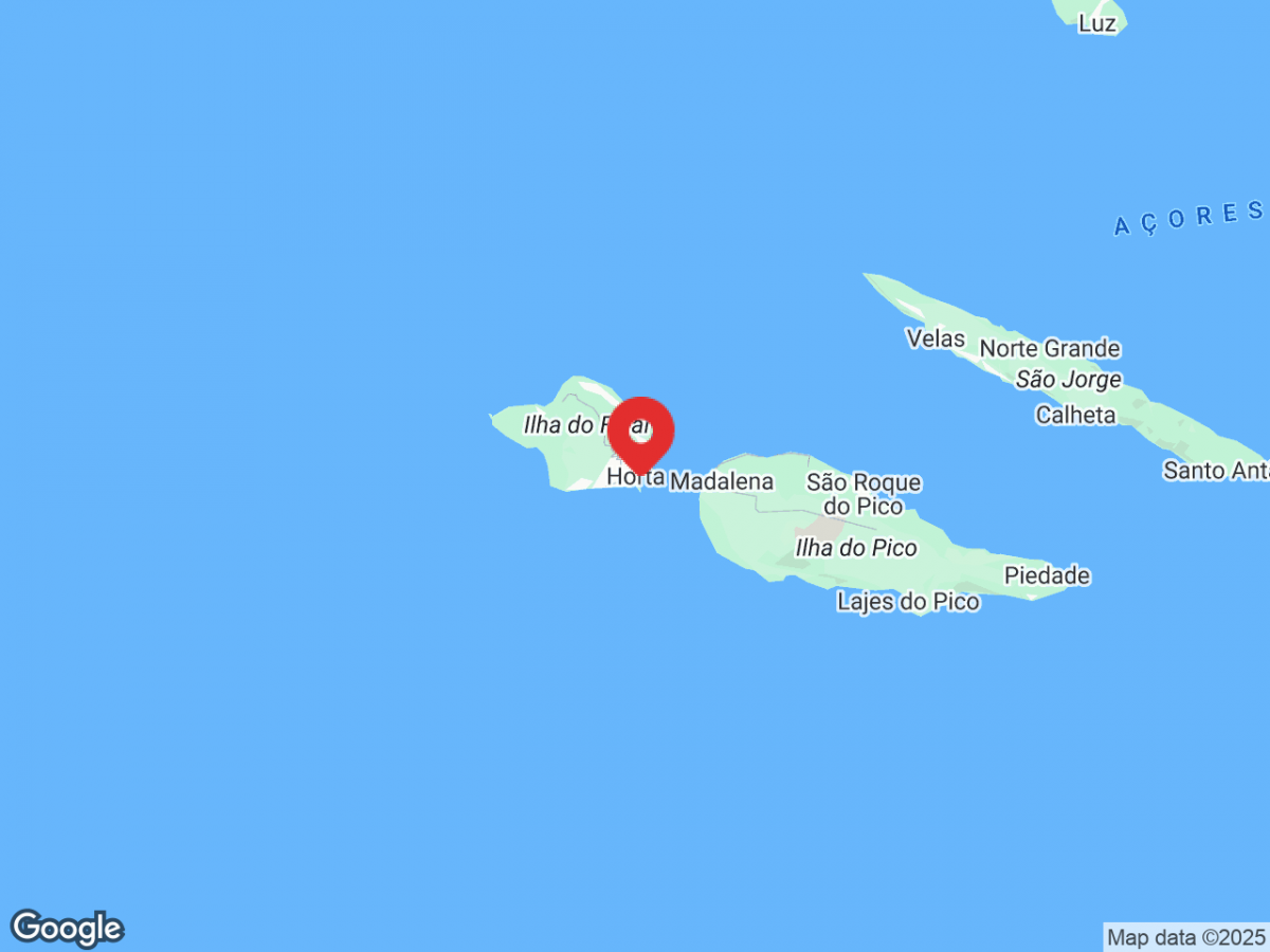 0b785022112570c6a34805ecf027243c