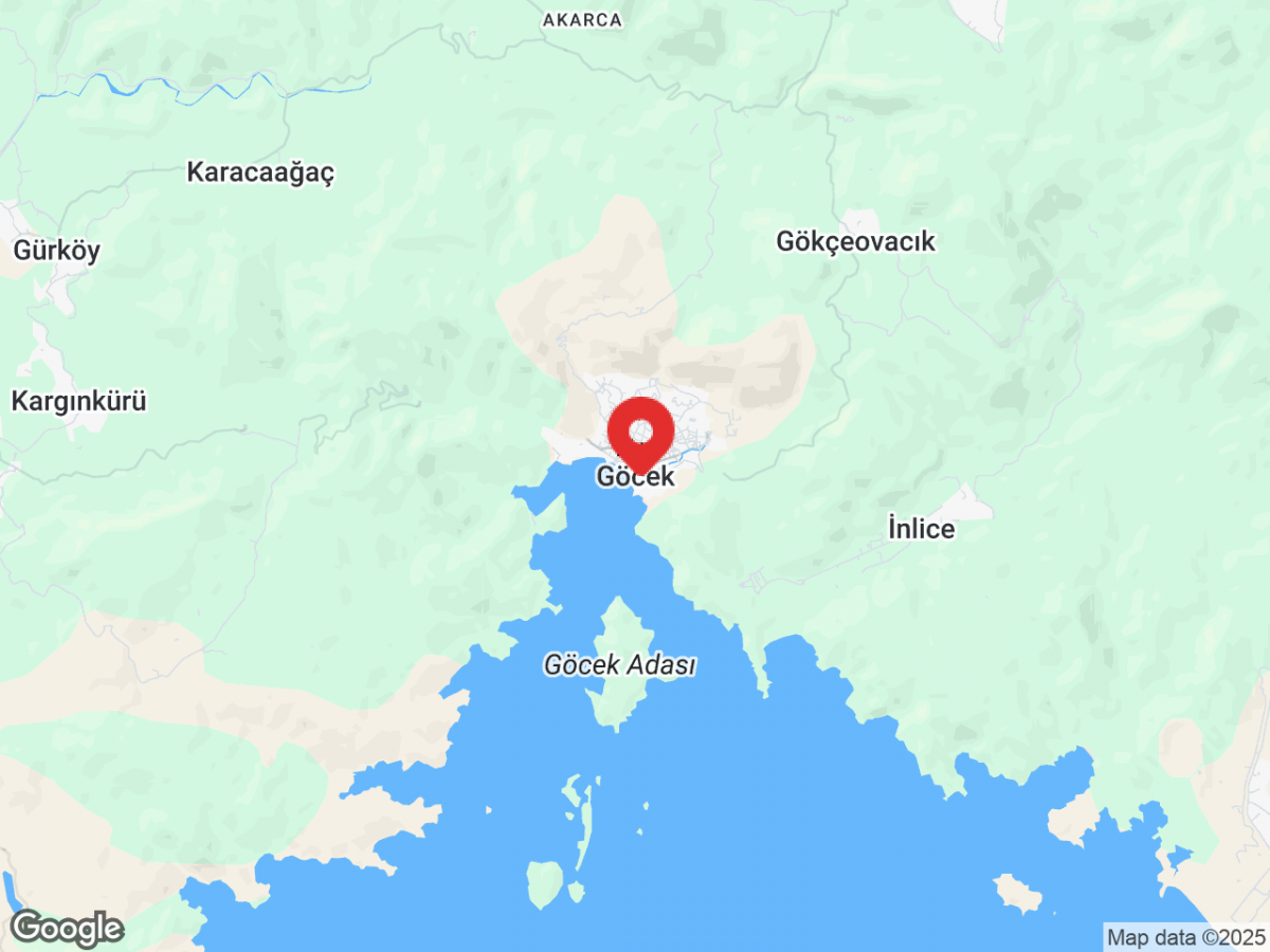 88d6ca929802f5a698b6c8ebd19e353c