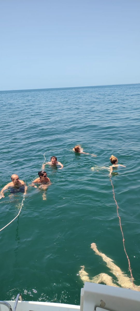 Entdecken Sie die Schönheit der andalusischen Küste