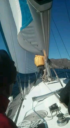sailing regatta cartagena