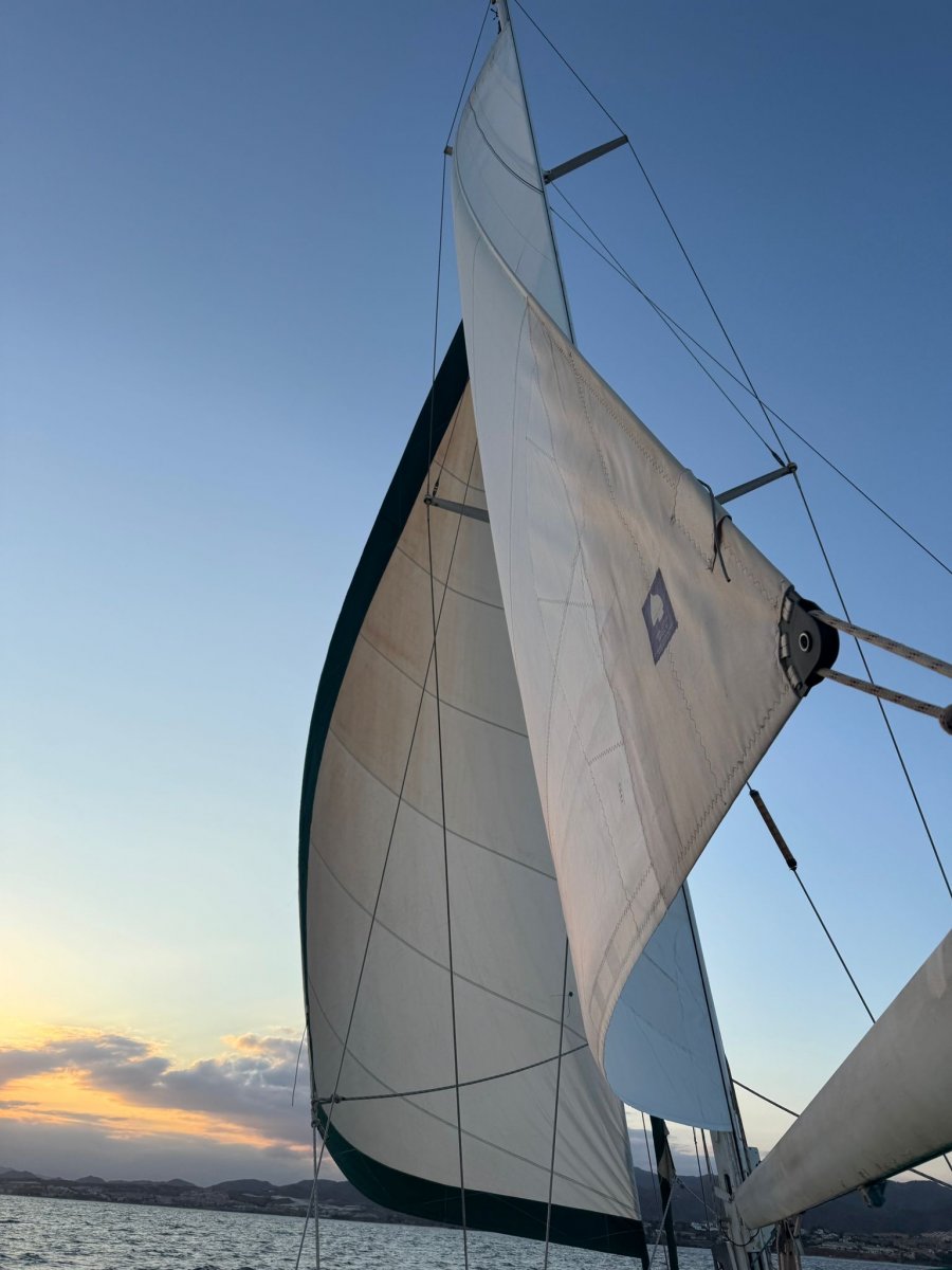 Disfruta de la vista desde el mar en un crucero por Puerto de Mazarrón
