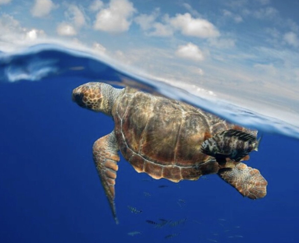 Rilassati sulle spiagge di sabbia bianca e nelle piscine naturali