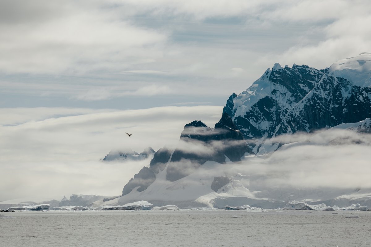 Flight over icebergs, aerial view of Antarctic expedition