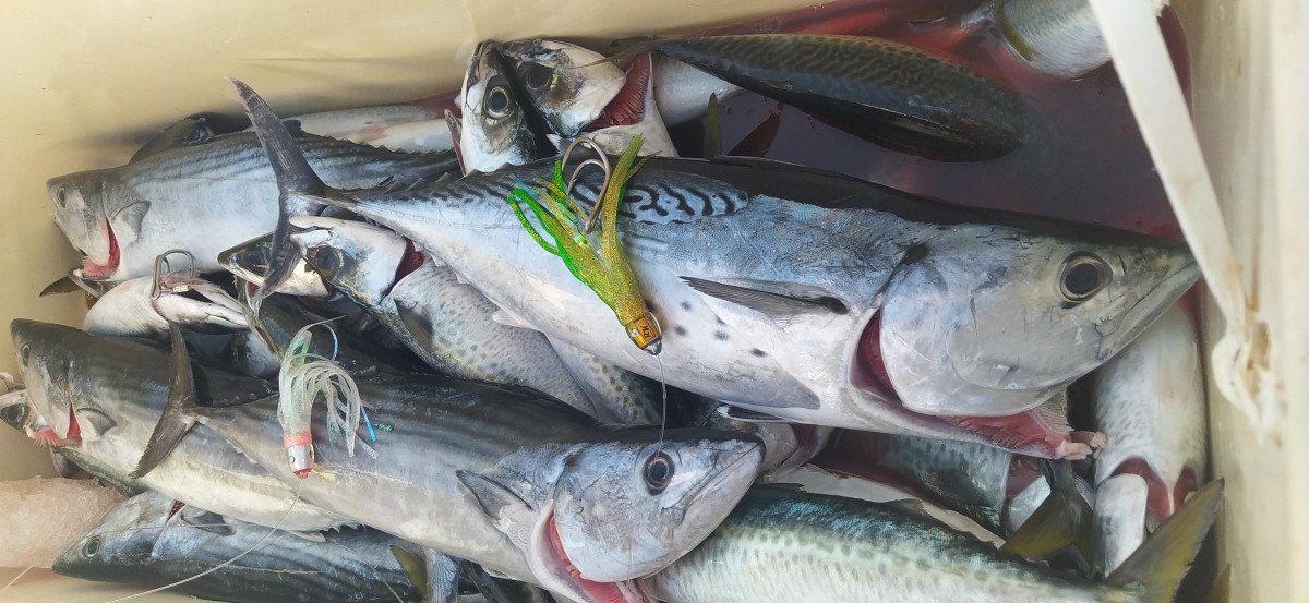 Cádiz Sportangelerlebnis