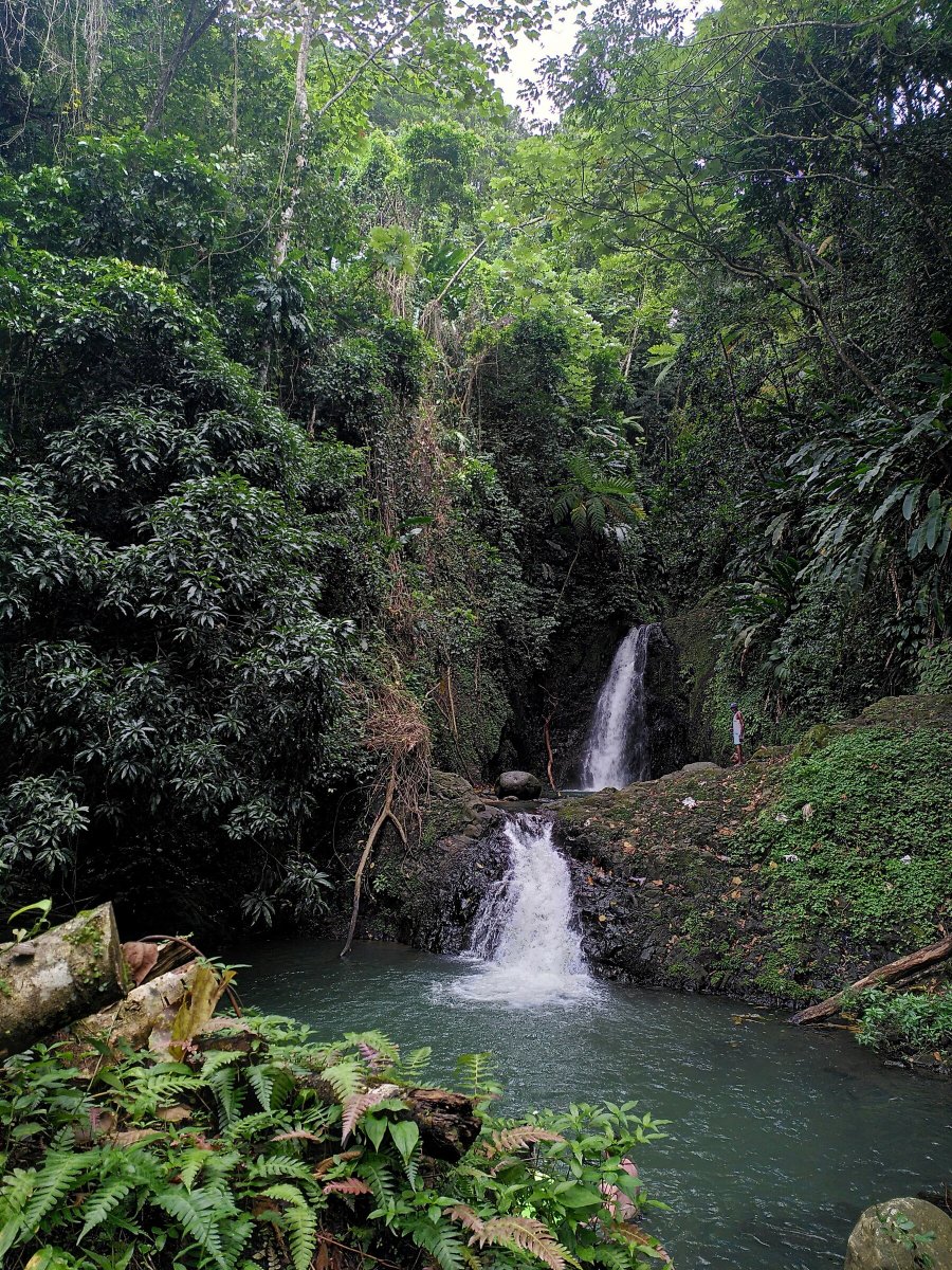 Adventure boats in tropical waters