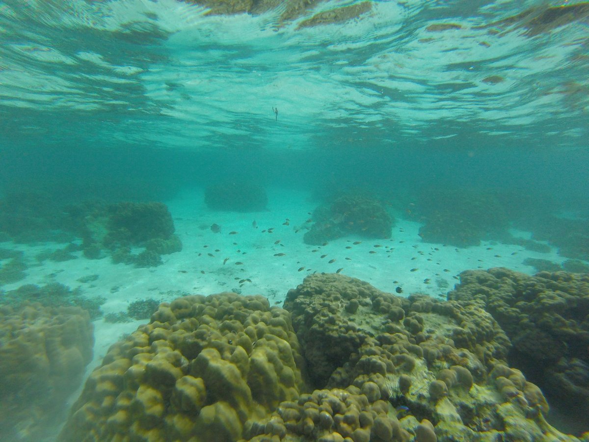 Visita le isole e le spiagge più belle della Thailandia