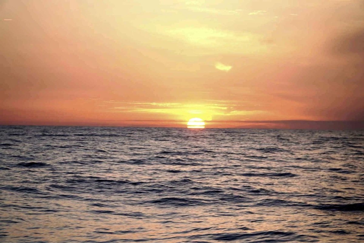 Astronomical catamaran trip to Columbretes Islands