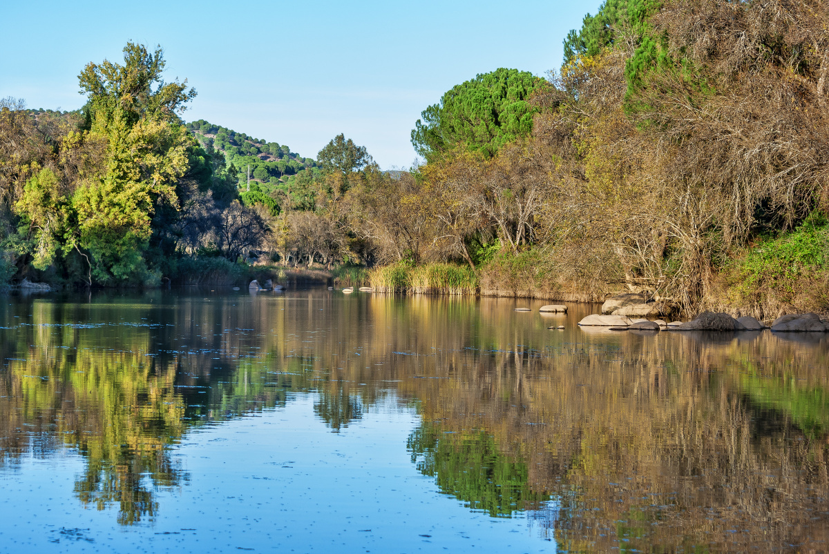 Route through the Guadalquivir