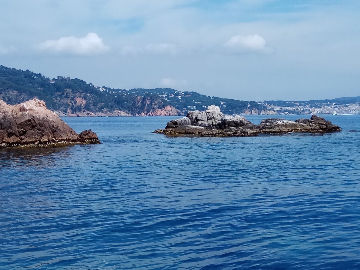 crueceros en velero Costa Brava 