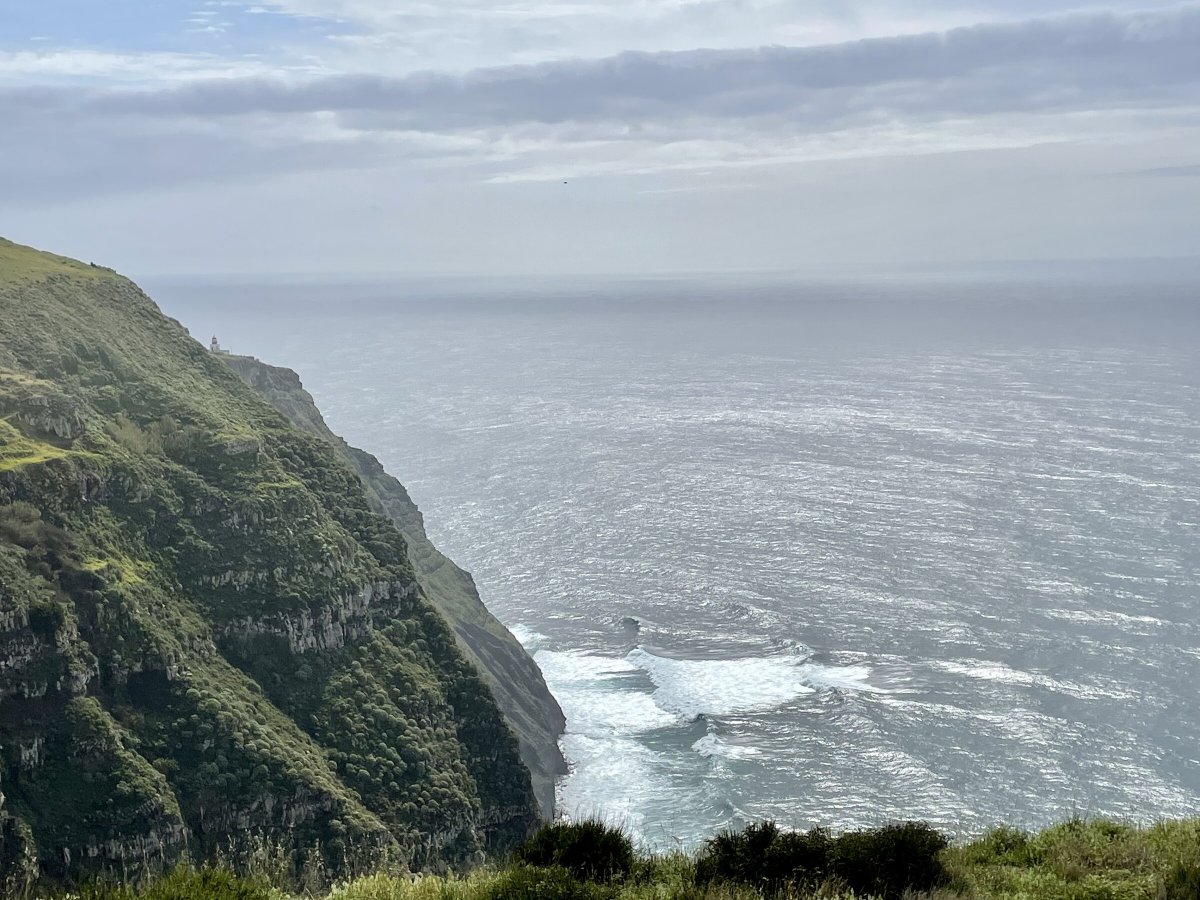 Aprende a navegar en el mar entre Madeira y Tenerife