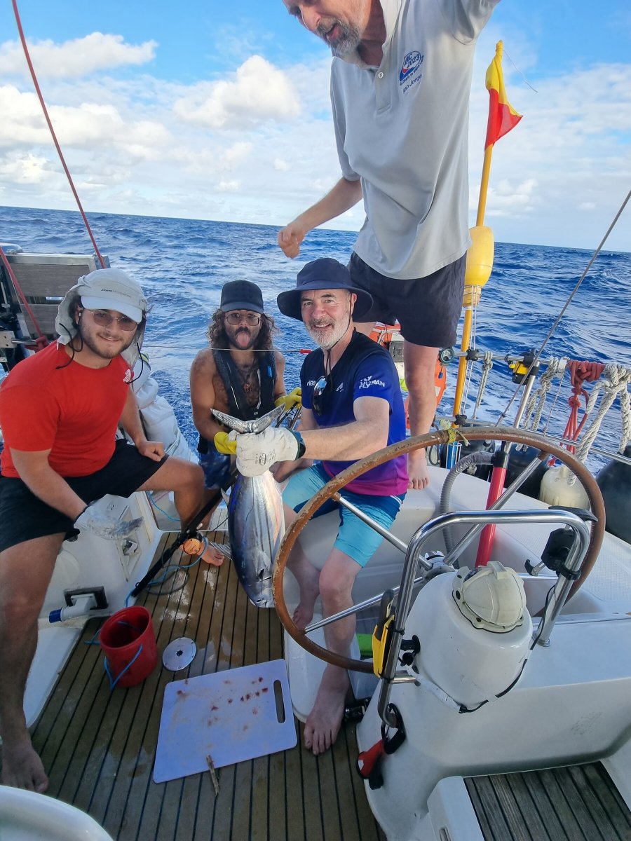 Enjoying the natural beauty of the Atlantic on a transatlantic voyage