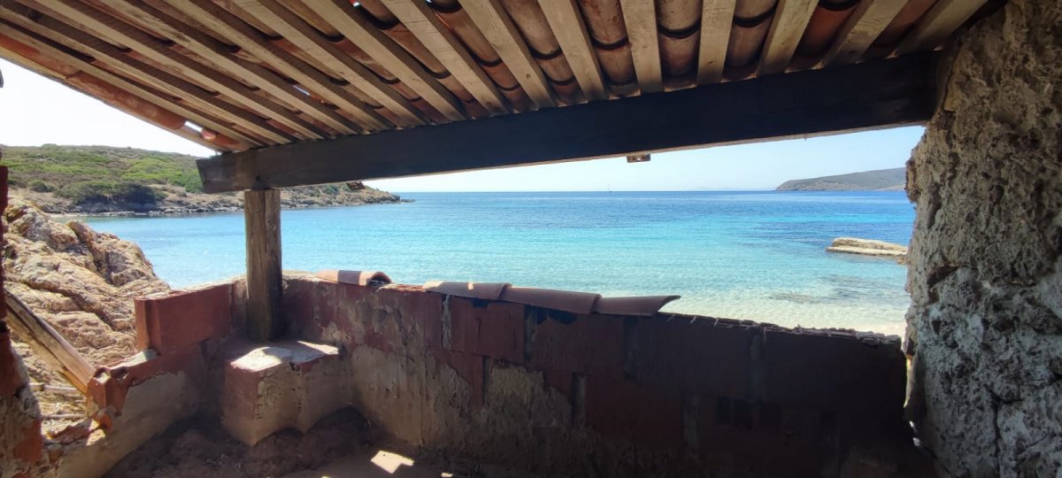 Genießen Sie Sardiniens köstlichen Fisch und Wein