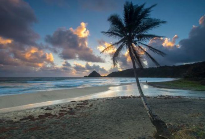 Las playas de arena blanca y el clima tropical del Caribe