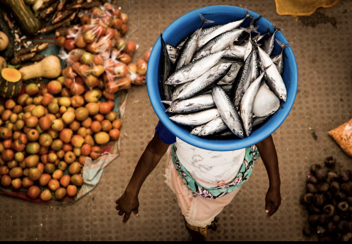 Viaje de navegación por Cabo Verde y el Caribe