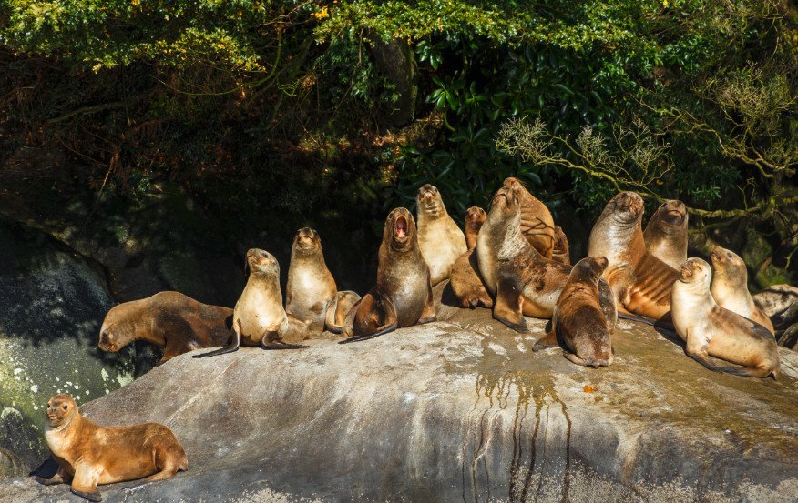 Navigazione attraverso il Canale Señoret