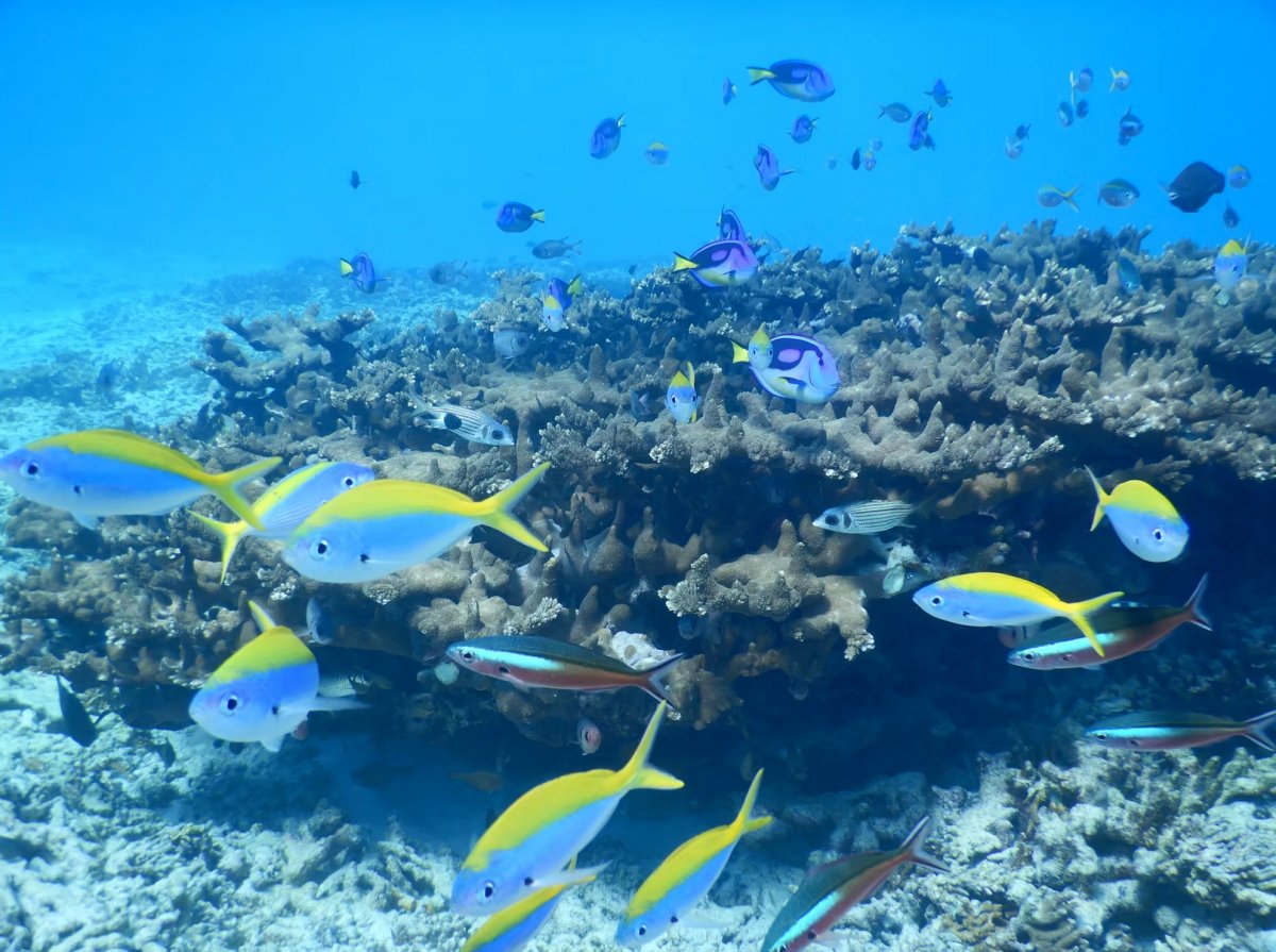 Vergessene Inseln der Seychellen