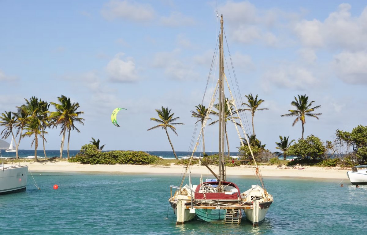 Goditi la bellezza del mare su un catamarano
