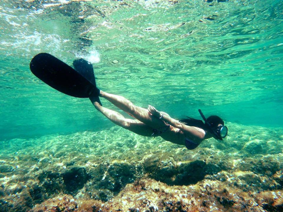 13902836_1078641295548515_3657698178909687513_n