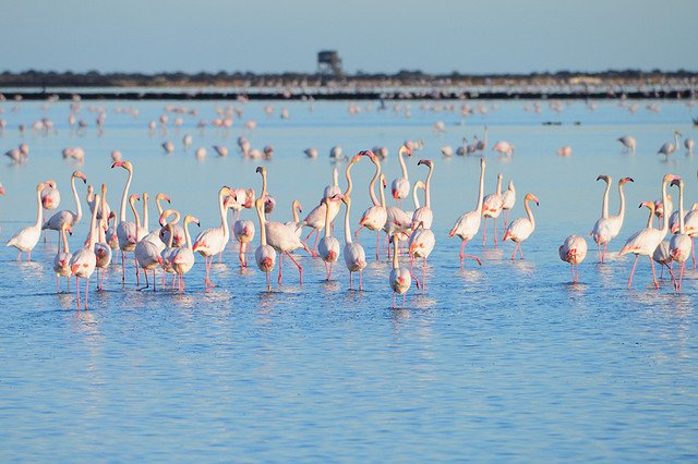 Panoramic View of Costa del Azahar from the Sea